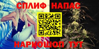 эйфоретик Гусев