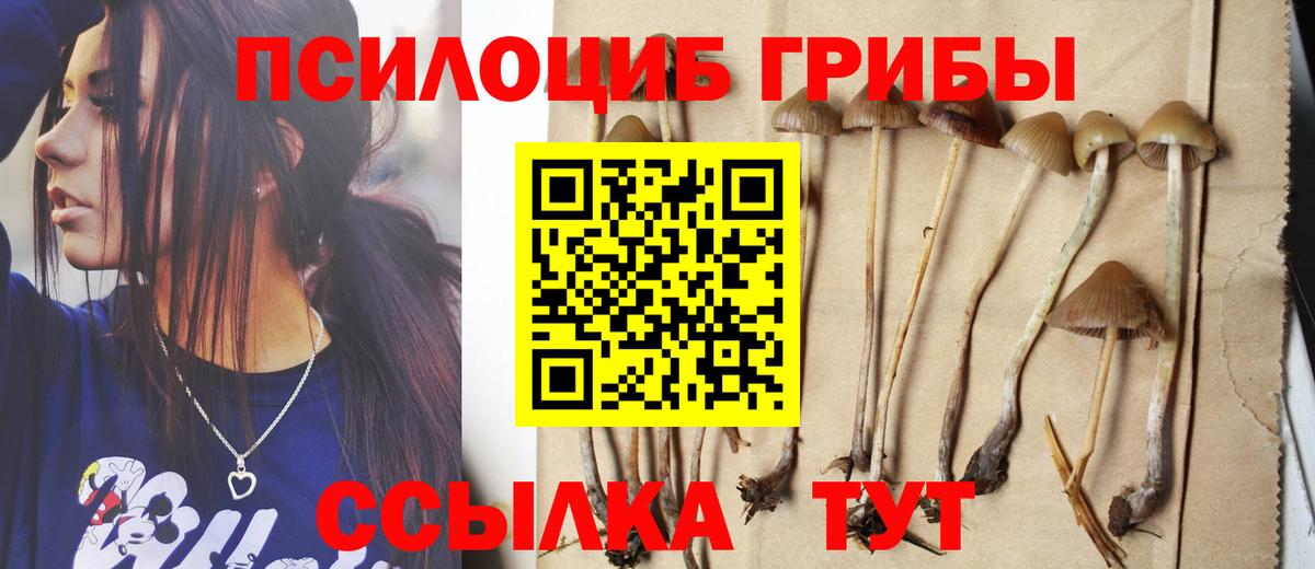 Галлюциногенные грибы Psilocybine cubensis  Вход с VPN  Псилоцибиновые грибы Magic Shrooms  Копейск 