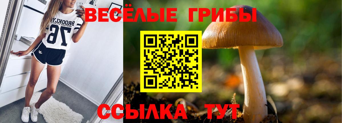 Псилоцибиновые грибы Magic Shrooms Копейск